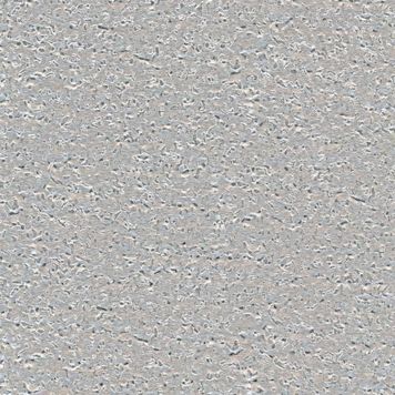 Alumiiniumplekk töötlemata 1000 x 120 x 0,8 mm