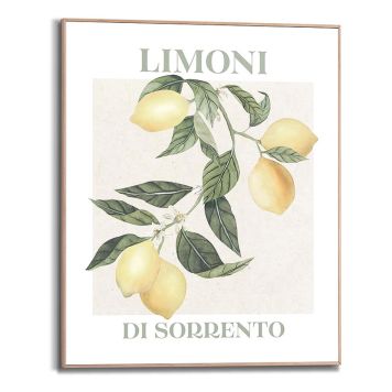 Sisustuspilt Reinders Limoni 40 x 50 cm
