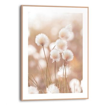 Sisustuspilt Reinders Cotton Pops 30 x 40 cm