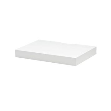 Riiul 445 x 300 mm