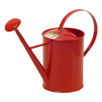 Laste kastekann