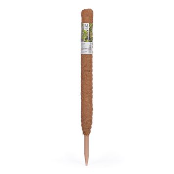 Taimetugi 70 cm