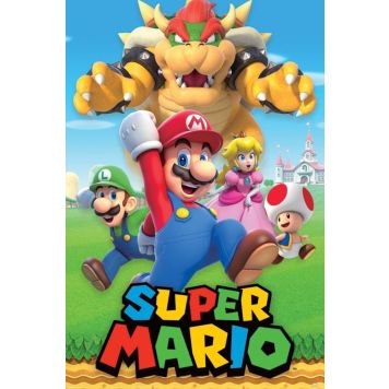 Poster Reinders Super Mario - character montage 074
