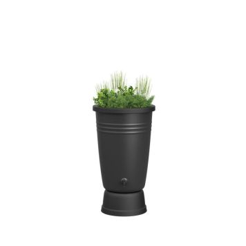 Vihmaveetünn Elho Green Basic alusega 200 l