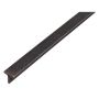 T-profiil toorteras 25 x 25 x 2000 mm
