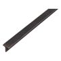 T-profiil toorteras 25 x 25 x 2000 mm