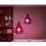 LED-nutilamp Philips Hue White and color 6,5 W E27, 2 tk