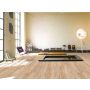 Vinüülparkett Parador Basic 5.3 tamm Memory Sanded 5,3 mm