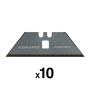 Varuterad CarbonMax 10 tk