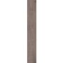 Näidis Silentos Tamm Fondi 9 mm KL31
