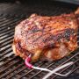 Termomeeter Weber iGrill Pro lihale anduriga