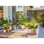 Micro-Drip Gardena stardikomplekt 30 rõdutaimedele