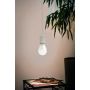 LED-lamp Eglo Connect.z A60 RGB