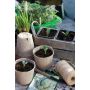 Turbapotid PlantStart 8 cm