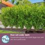 Kastmiskomplekt Gardena Micro-Drip taimeridadele 13 mm 25 m