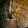 Matkakirves Fiskars XS X14 X-serries
