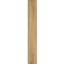 Laminaatparkett Logoclic Ambienta tamm Canta 10 mm KL33