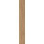 Laminaatparkett Silentos tamm Almina 7+2 mm
