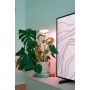 Taimevalgusti Airam Ivy 650 LM