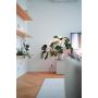 Taimevalgusti Airam Ivy 650 LM
