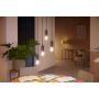 LED-nutilamp Philips Hue White ambiance Filament A60 7 W E27