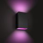 LED-välisvalgusti Philips Hue Ambiance Resonate must
