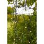 LED-valgussari Markslöjd Garden24 Icicle 160-osaline