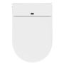 Elektriline seinapealne WC-pott Camargue Clean & Dry