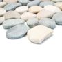 Looduskivimosaiik Pebble Flat 30 x 30 cm