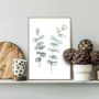 Sisustuspilt Reinders Eucalyptus 20 x 30 cm