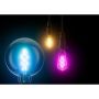 LED-lamp Ledvance SMART+ WIFI Filament Globe RGBW 30 4,5 W/2700 K E27