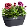Seinaampel Elho Vibia Campana 35 cm, antratsiit