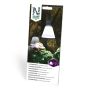 Taimelambi kuppel Nelson Garden 2 tk/pakk