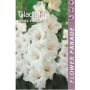 Gadiool White 7 tk