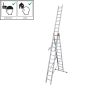Redel Tribilo 3 x 8 astet