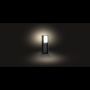 LED-postvalgusti Philips Hue Turaco