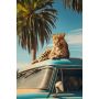 Poster Reinders Oldtimer Safari 029