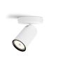 Kohtvalgusti Philips myLiving Pongee 1-osaline, valge