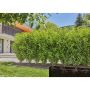 Tilkkastmisvoolik Gardena Micro-Drip 25 m