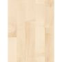 Puitparkett Parador Basic 11-5 valge vaher 11,5 mm